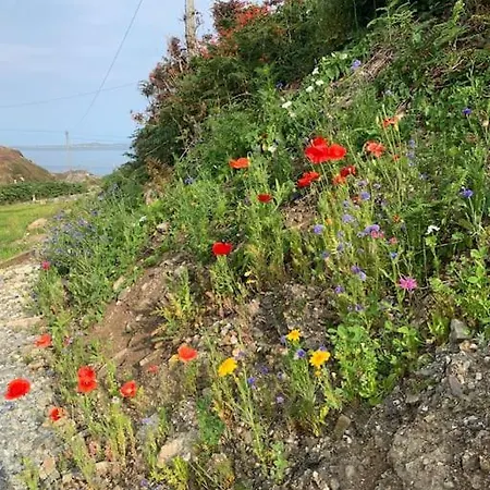 Mary's Seaview Clifden 度假居 *