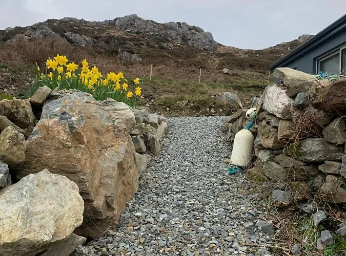 Mary's Seaview Clifden Σπίτι διακοπών *