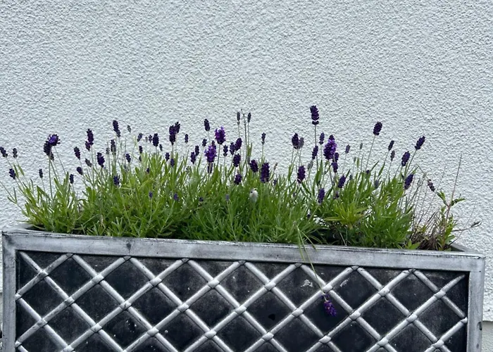 Σπίτι διακοπών Mary's Seaview Clifden *