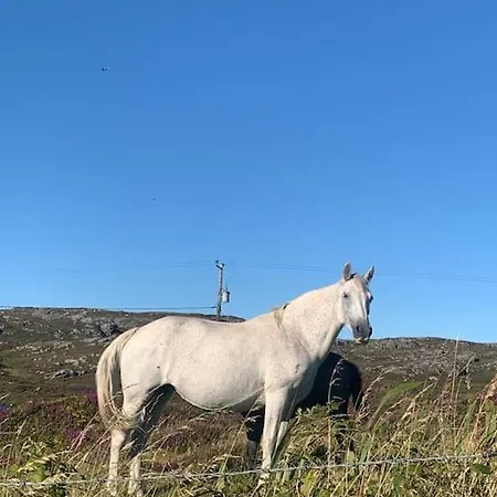 Mary's Seaview Clifden בית נופש *