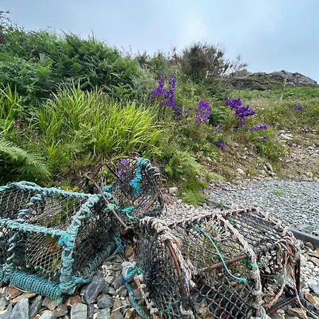 Dom wakacyjny Mary's Seaview Clifden *