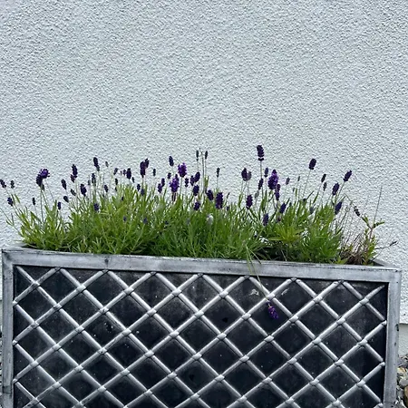 Holiday home Mary's Seaview Clifden *