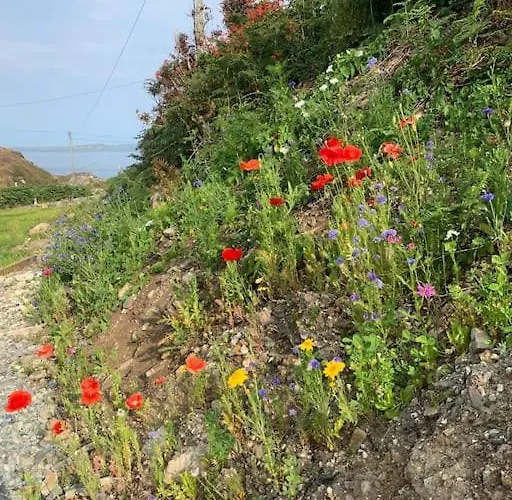 Mary's Seaview Clifden 펜션 *