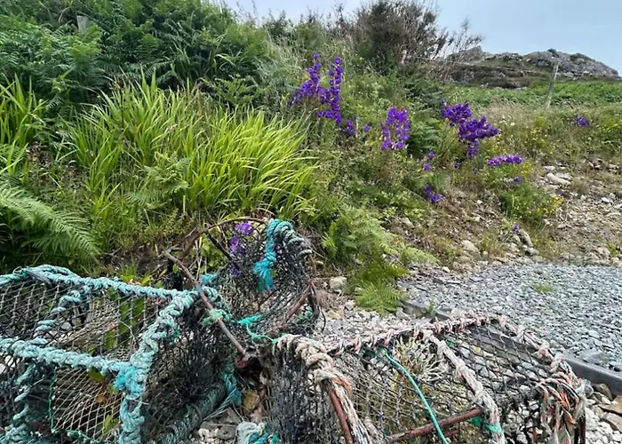 펜션 Mary's Seaview Clifden *