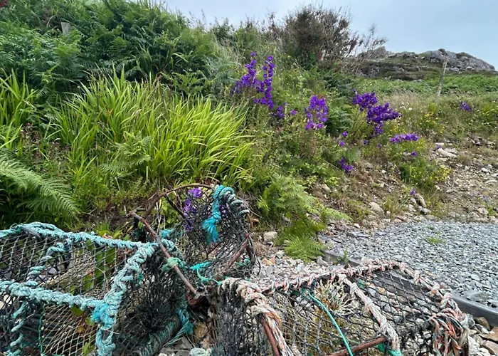 Mary's Seaview Clifden 펜션